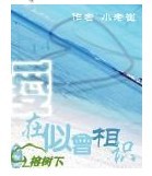 似曾相识