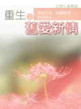 重生之旧爱新情