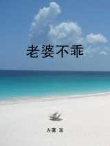 老婆不乖