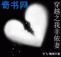 穿越之我非侬妻