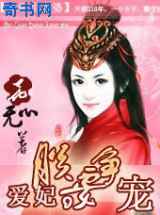 爱妃，朕要争宠：不做小老婆！