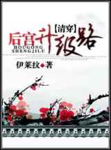 后宫升级路(清穿)