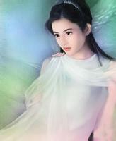 我的美女缘
