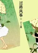 过路风筝