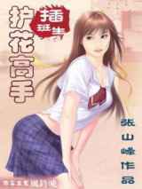护花高手插班生