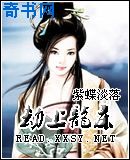 劫上龙床