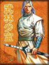 武林少宝