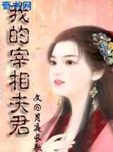 我的宰相夫君