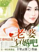 绯闻总裁，老婆复婚吧!