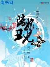 陪嫁丑妃