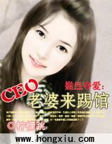 撒旦夺爱：CEO老婆来踢馆