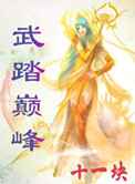 武踏巅峰
