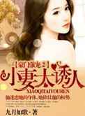 豪门强宠Ⅱ：小妻太诱人