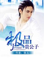 极品贵公子
