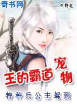 特种兵公主：王的霸道狐宠