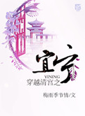 穿越清宫之宜宁