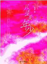 只道是年少