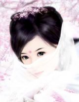 后宫上位记