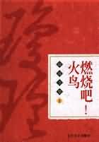 燃烧吧！火鸟