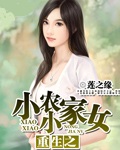重生之小小农家女