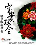 宝贵双全