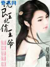 无良王妃俏王爷
