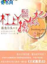 杠上丫鬟擒做妃