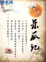 呆瓜记
