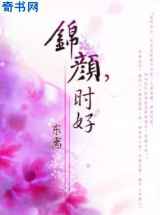 锦颜，时好