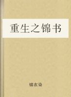 重生之锦书