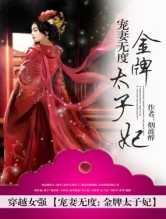 宠妻无度:金牌太子妃