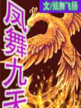 凤舞九天