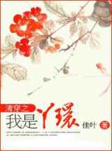 清穿我是丫环