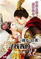 痴恋：寻找我的妃