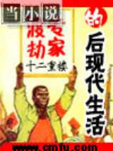 渡劫专家的后现代生活
