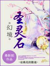 幻境·圣灵石