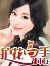 护花高手