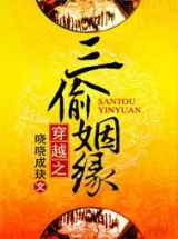 穿越之三偷姻缘