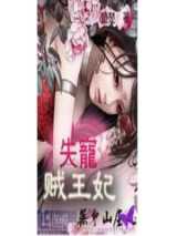 失宠贼王妃