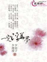 一觉浮华梦