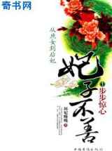 从庶女到后妃：妃子不善