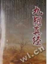 九阴真经
