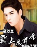一夜欢恋：霸上恶首席
