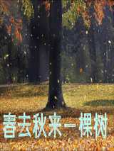 春去秋来一棵树