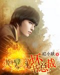 火爆秘书坏总裁