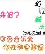 幻城城主