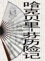 哈克贝里-芬历险记