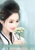 宠妻