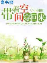 带着空间穿回来