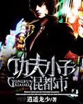 功夫小子混都市